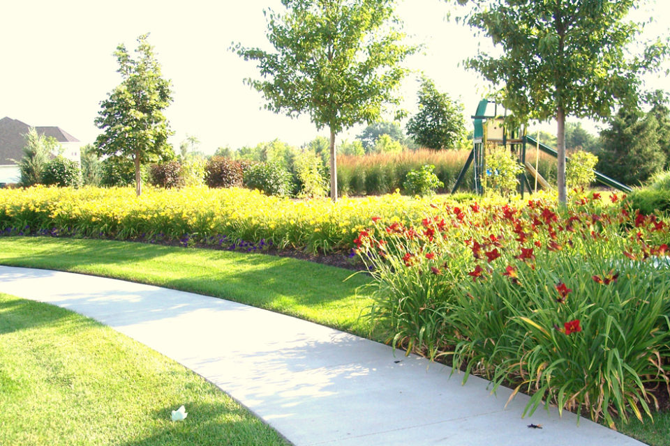 landscaping