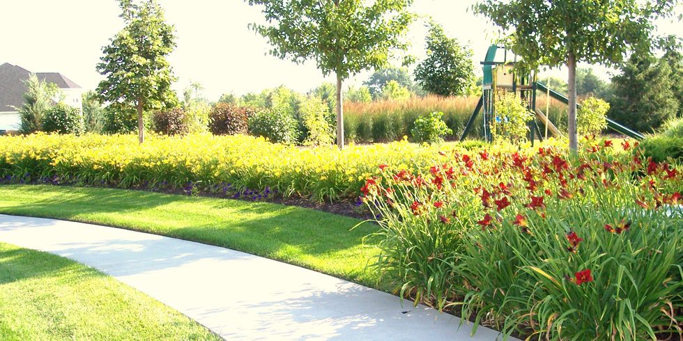 landscaping
